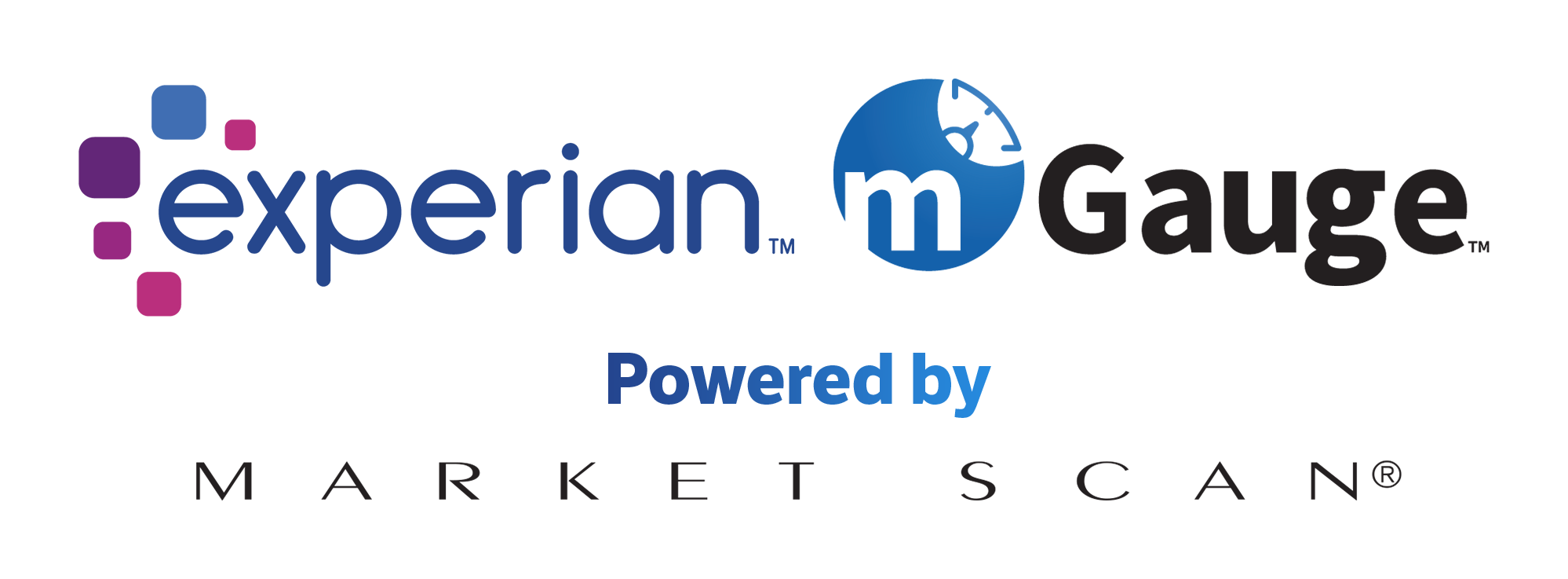 experian-mgauge-logo-padded Experian mGauge Powered by Market Scan Logos