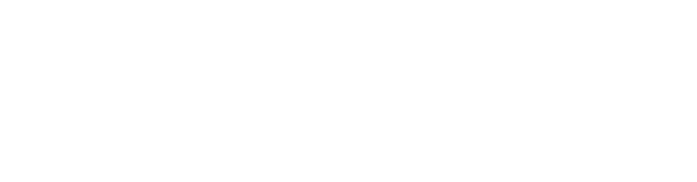 Digital Dealer Text